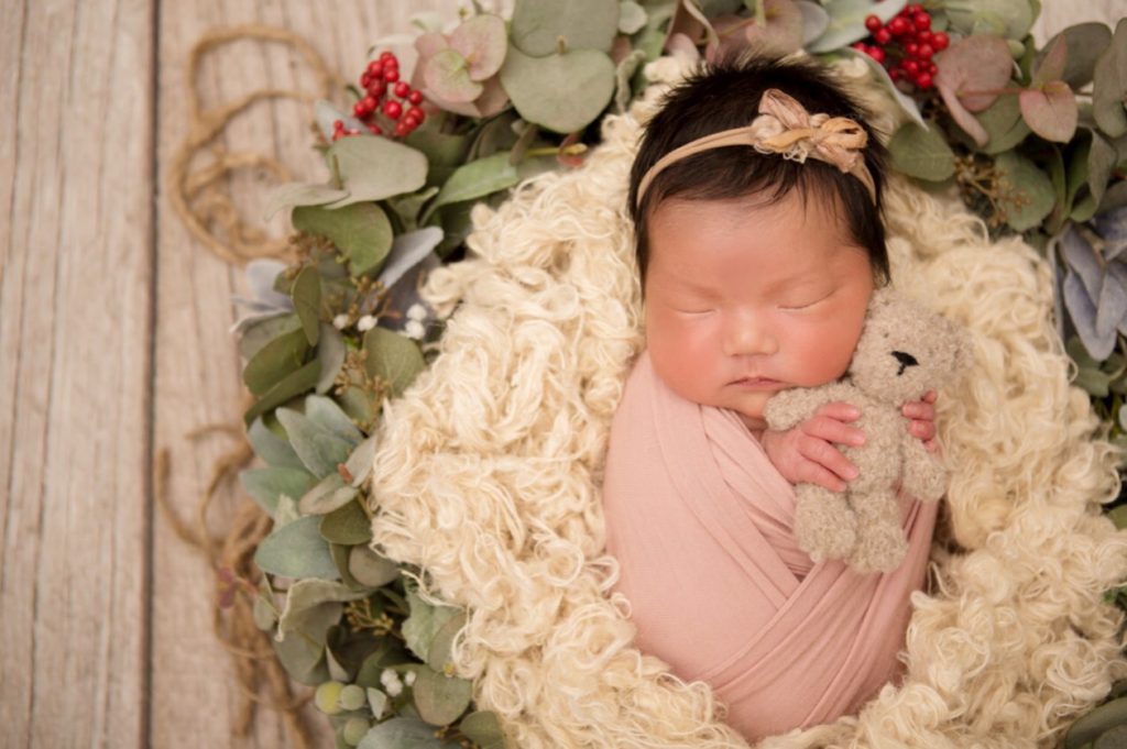 ベーシックプラン